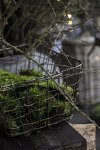 Brass Wire Basket
