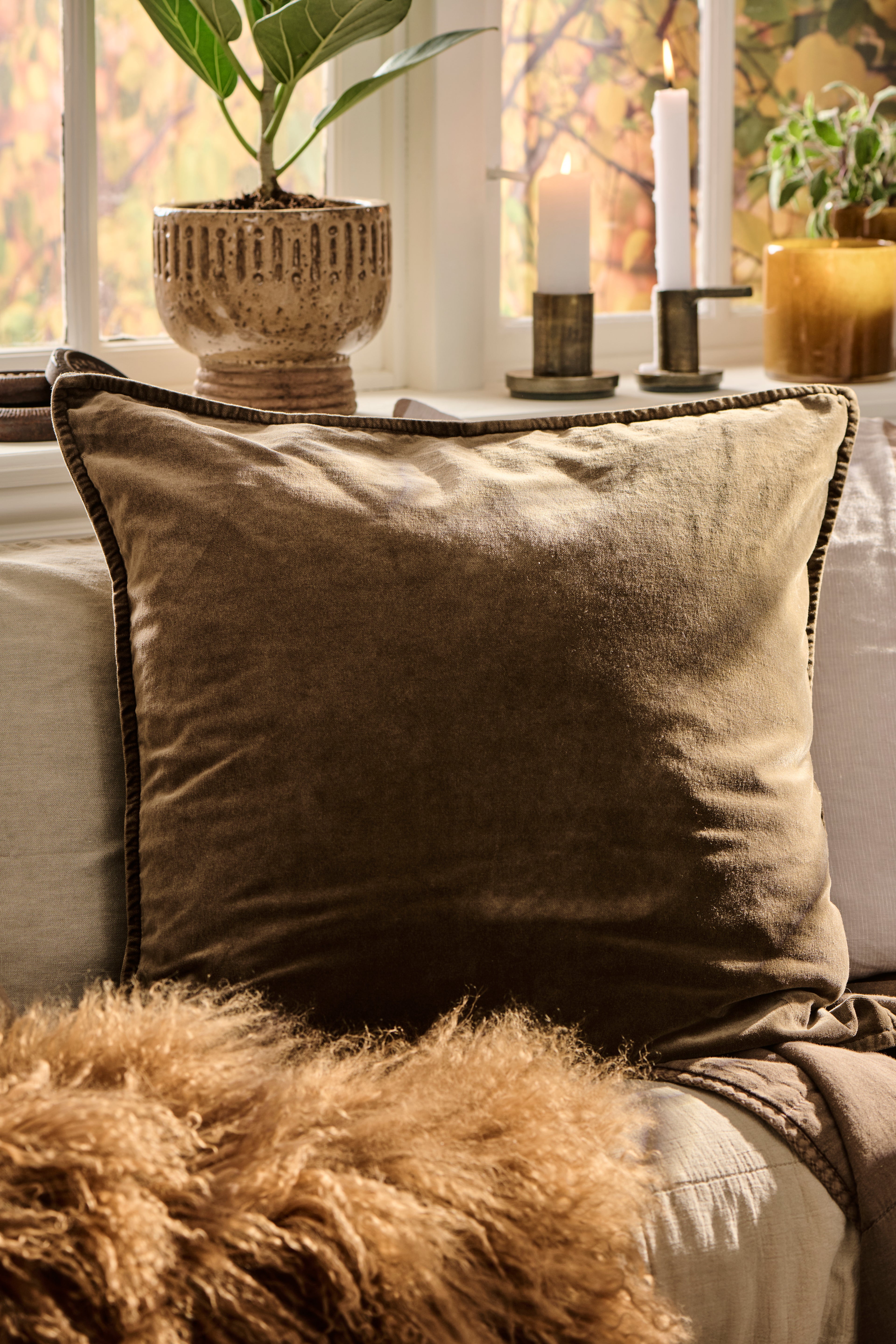 Velvet Cushion in Earthen Brown