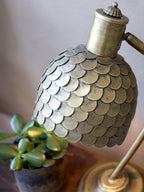 Scalloped Desk Lamp in Antique Brass